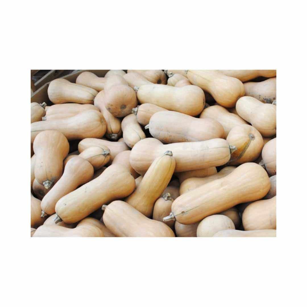 Butternut