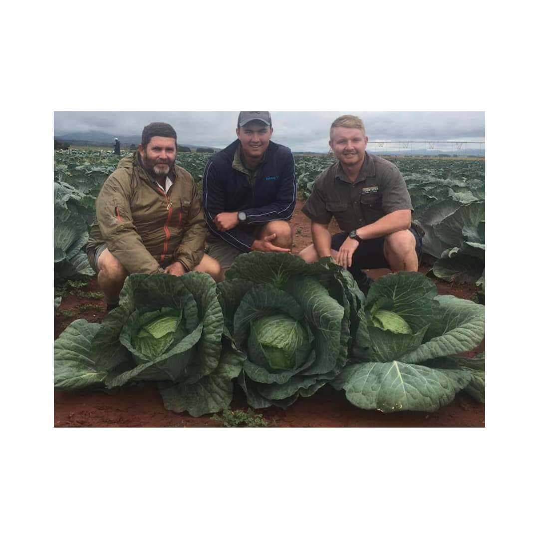 DEFENDER F1 (Autumn Production)