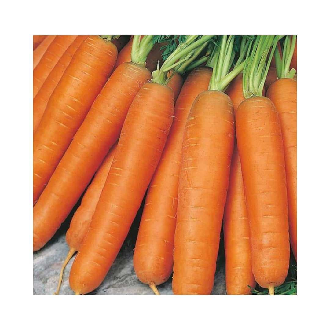 Nantes (Bunching / Bagging)