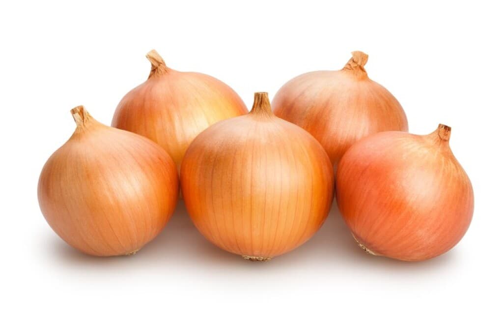 BB ALO 0815 F1 (Mafinga F1)