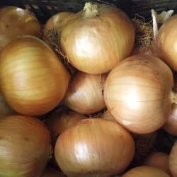 BB ALO 0827 F1 (Leba F1)