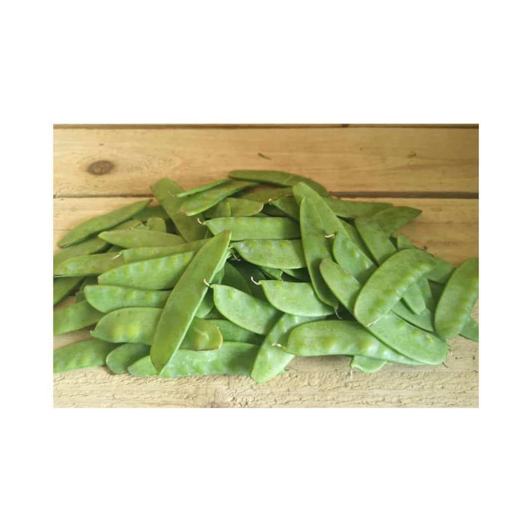 Pea