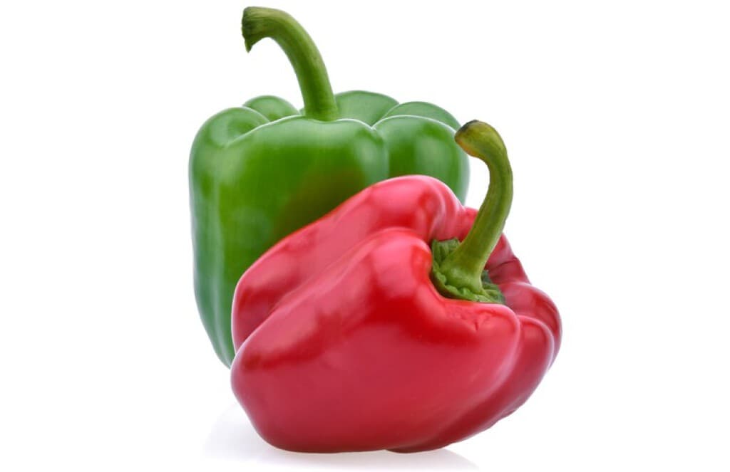 California wonder "Bamba"